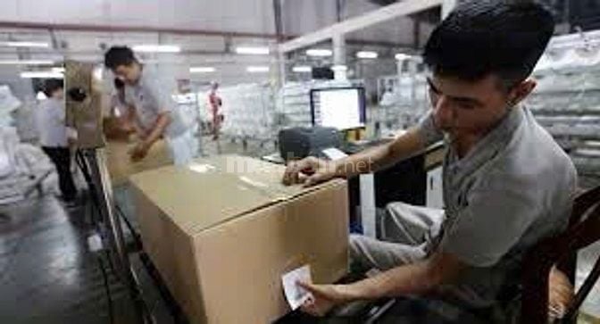 CẦN TUYỂN NHÂN VIÊN PHÂN LOẠI HÀNG HÓA 