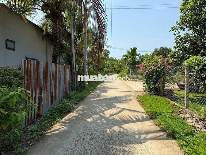 Bán lô đất vườn có thổ cư sát Sân bay Long Thành giáp suối tự nhiên