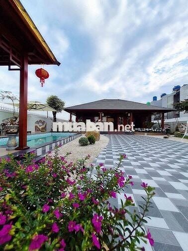 🔥 Biệt Thự Sân Vườn 1000m² – Full Thổ Cư – Full Nội Thất – Giá Sốc