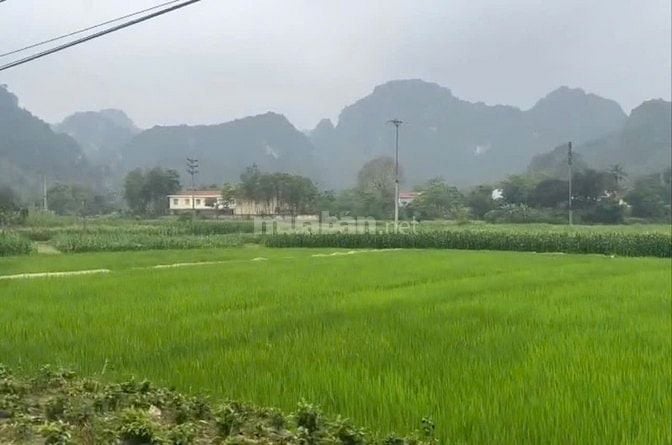 Bán lô đất 760m2 bám mặt đường to liên xã tại Cao Dương, Lương Sơn- HB