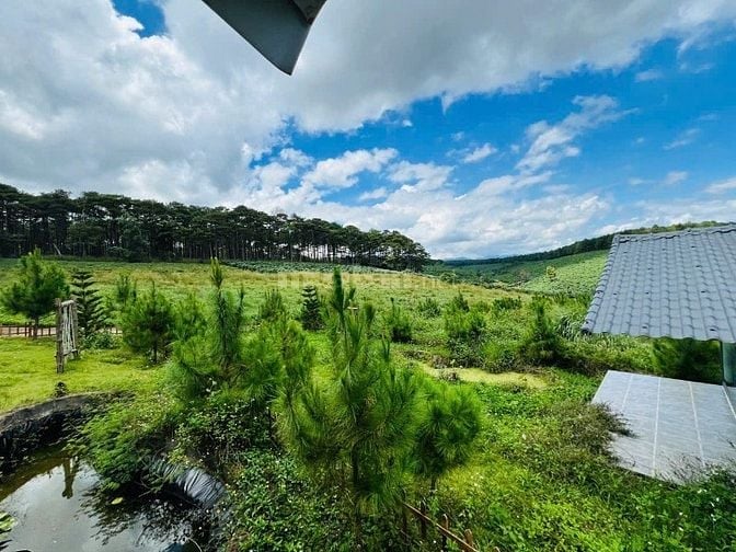 24 LÔ ĐẤT - 300M2 ĐẾN 900M2 - NGANG 10 - CHỈ 4.4 TRIỆU M2