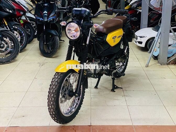 XE MÁY THỊNH PHÁT - PG1 VÀNG ĐEN ZIN CHẤT ĐI LƯỚT