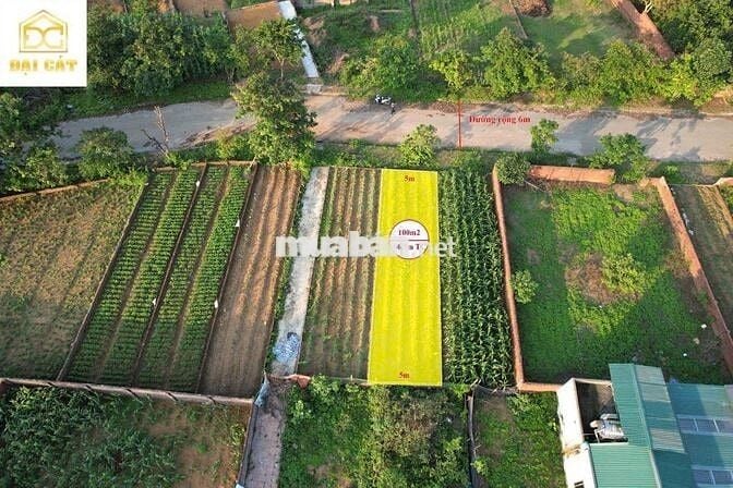 QUÁ NÉT 1002M2 TĐC VAI RÉO, CHỈ HƠN 4 TỶ