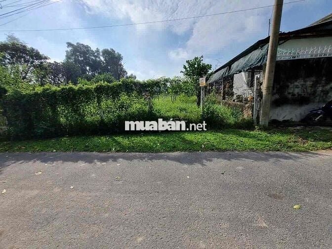 Đất ngộp 700TR Sở hữu ngay 499m2 Thổ cư Nguyễn Viết Xuân.TT Củ chi,