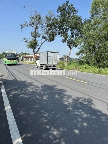 Chính chủ bán đất mặt tiền Tỉnh Lộ 7 xã Thái Mỹ, Củ Chi, TP HCM