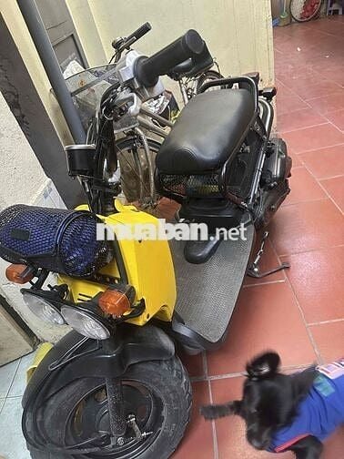 Honda Zoomer Fi 50cc Vàng