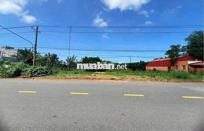 Bán đất mặt tiền kinh doanh ngay mặt tiền DH519(32m), 250m2 thổ cư,SHR