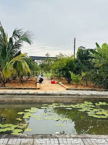 Bán đất vườn Xã Bình Mỹ Củ Chi, Đã có nhà vườn