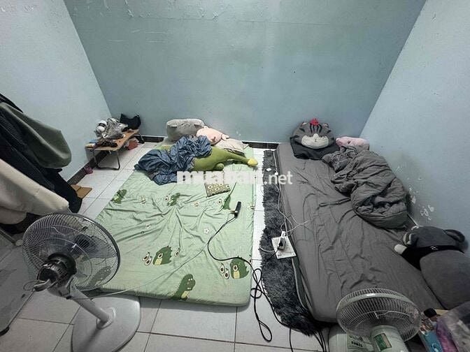 TÌM 1 BẠN Ở GHÉP – PHÒNG TRỌ NHÀ NGUYÊN CĂN