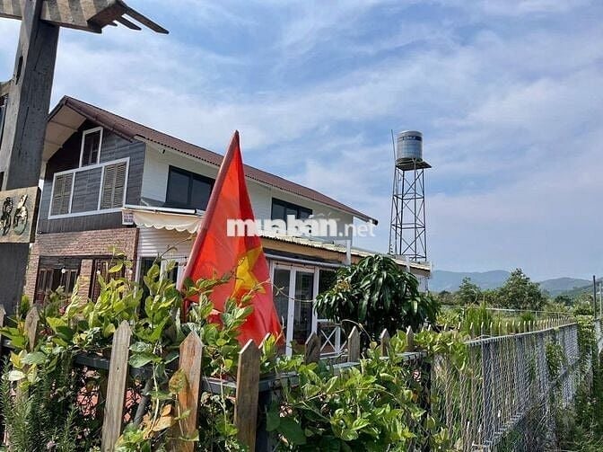 Homestay Bảo Lộc DT578m2 (14mx40m) mặt đường nhựa lớn 2 oto chỉ 2.8 tỉ