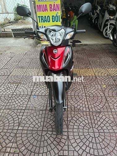 elegant 50c 2023 vĩnh long