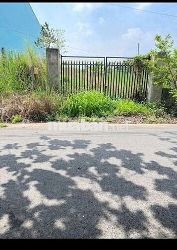 Chủ Cần Bán Lô Đất Đường Cây Trôm Mỹ Khánh,Thái Mỹ 117m2. Giá 1tỷ ,SHR