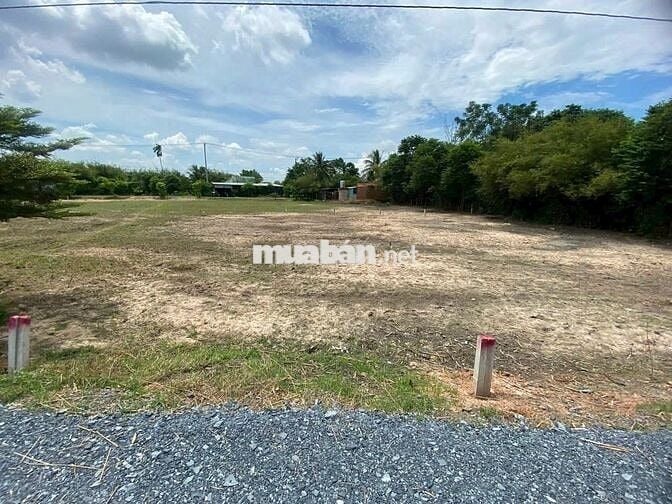 Bán gấp lô đất 125m² giá 1tỷ1 ngay đường Ba Sa, xã Phước Hiệp Củ Chi