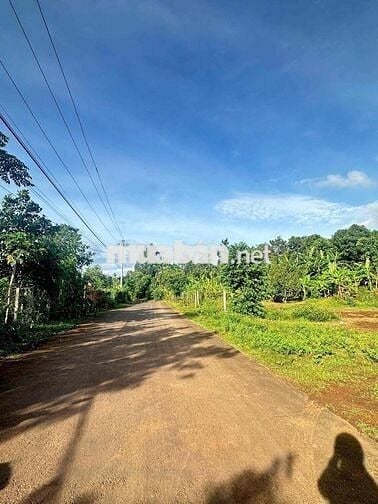 ĐẤT NHÀ VƯỜN PHƯỜNG EAKAO ĐƯỜNG NHỰA