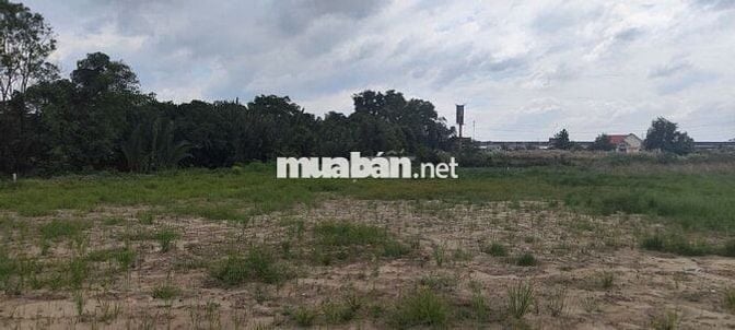 BÁN GẤP ĐẤT NÔNG NGHIỆP ĐƯỜNG BÊ TÔNG CONTAINER – XÃ THANH PHÚ