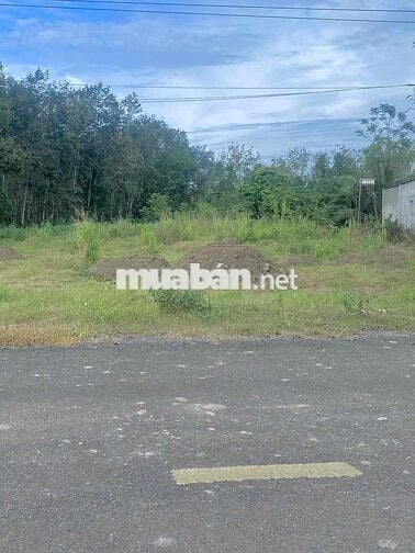 Đất chính chủ mặt tiền DH 519 chỉ 350tr ở Phước Thành ,Tp Hồ Chí Minh