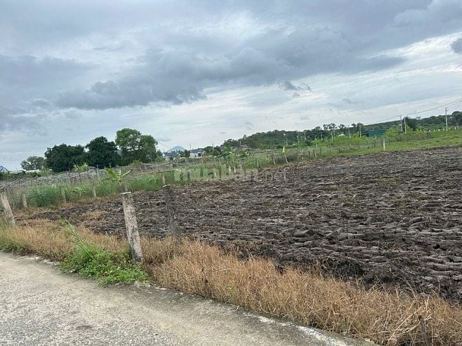 💥 Siêu Phẩm Full Thổ Cư 6x30 – Giá Chỉ 500 Triệu – Hiếm Khó Tìm Tại L