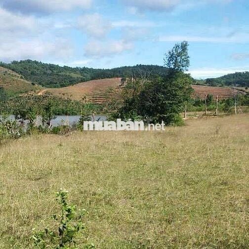 Bán đất thôn 4,, dakcam, quãng ngãi. View hồ chà môn. Đất cao ráo.