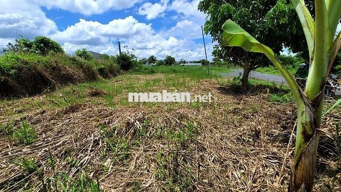 Nền góc giá rẻ KDC Đông Phú TP Cần Thơ