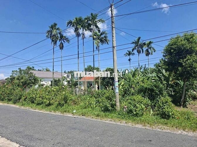 CHỦ CẦN TIỀN GỞI BÁN LÔ ĐẤT MẶT TIỀN ĐÀ NẴNG GIÁ RẺ