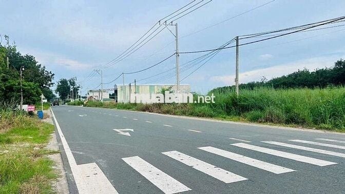 Đất 1500m2 (30*50) sẵn 100TC tại Bình Phước giá chỉ 350tr