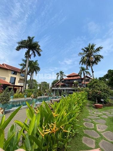 NGƯỜI LÀM VƯỜN CHĂM SÓC CÂY CỐI 