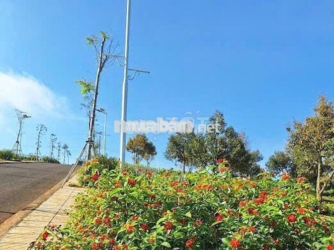 KẸT TIỀN CẦN BÁN GẤP LÔ ĐẤT GẦN QUỐC LỘ 20 LÂM ĐỒNG