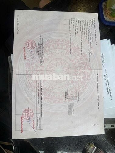 Chính chủ Bán đất full thổ cư 3MT đường 4m cách QL DT833B 500m- 1 tỷ 6