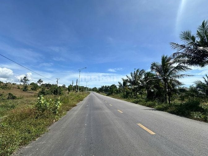 Siêu Phẩm 10023m2 View Biển LaGi – Giá Chỉ 2,6 Triệu/m² – Duy Nhất 1 L