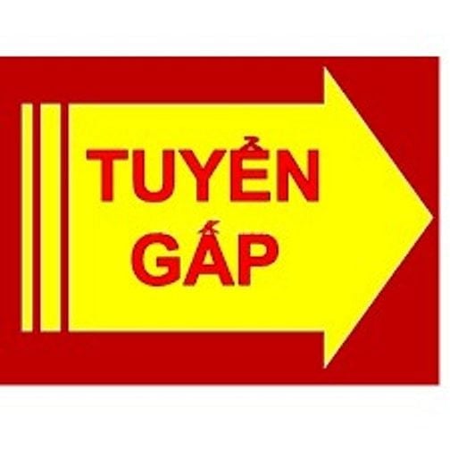 Gấp! Sắp đến Tết cần gấp LĐPT đóng hộp, gói hàng, kiểm tra hàng.