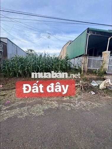 đất diện tích rộng 10x48 - 130m2 thổ cư thôn 8 BMT đường nhựa oto né