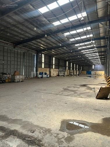 Cho thuê kho xưởng 15.000m² tại Bến Phú Định, phường Phú Định, quận 8