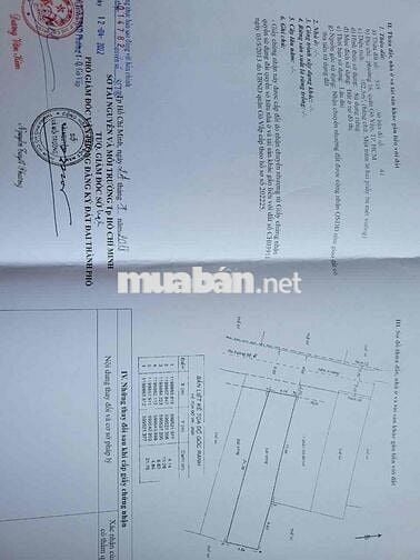 Đất xây siêu phẩm CHDV 5 tầng đẹp hxh sát trường tiểu học, Đs2 P16