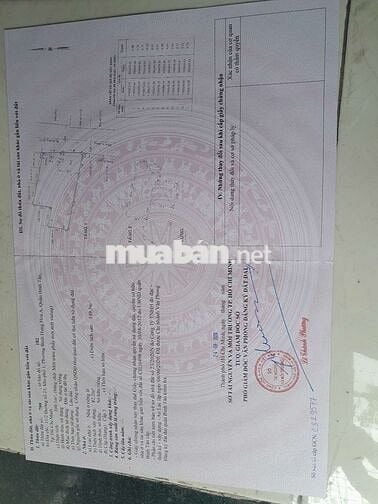 2 căn nhà riêng đ 21 P BHH QBTân