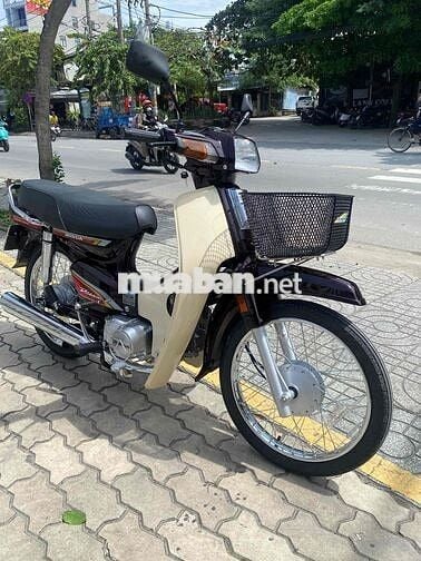 Drim thái , phục dựng mới nguyên con