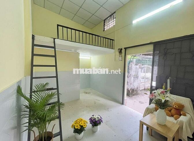 NGUYÊN CĂN MINI MỚI 100% VỪA Ở VỪA KINH DOANH GẦN NGÃ 5 CHUỒNG 🐶 GV