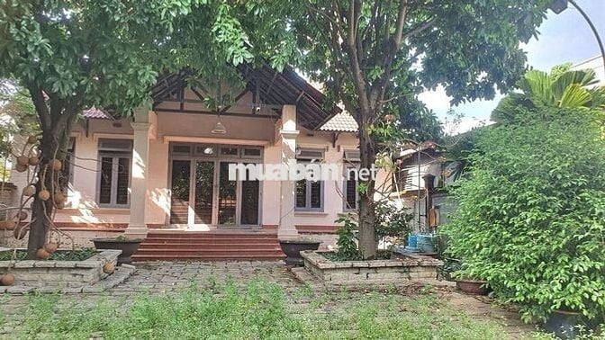 Cho thuê biệt thự hhg  gần ngã tư ga  500m giá 20tr