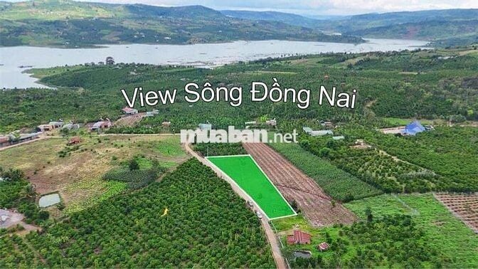 Đất View Sông full thổ 100m2 chỉ 299tr SHR