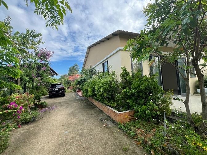 Biệt thự vườn bán gấp, 20x80m, mặt tiền đường nhựa An Nhơn Tây