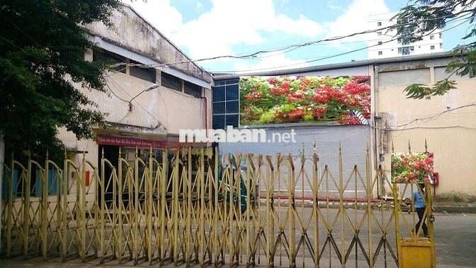 Cho Thuê Kho / Xưởng Đường Nguyễn Nghiêm, Tân Phú (16x32m - Sân Rộng)