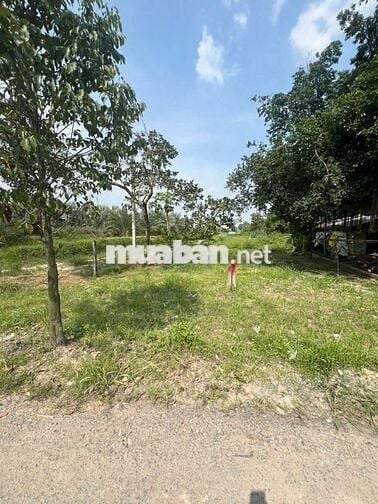 Cần bán 2 lô đất liền kề mặt tiền đường Lục Viên,Đức Lập Hạ