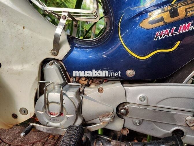 cub 50 dealim có đề, không cần bằng lái