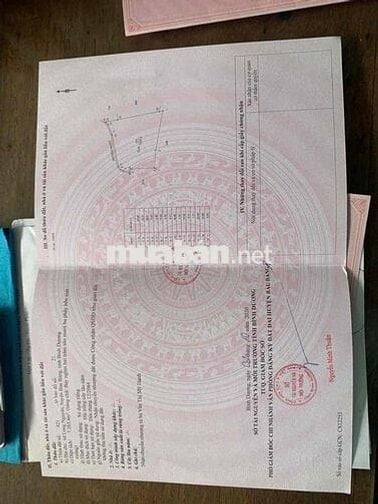 Bán đất trồng cây lâu năm đã có sổ ,