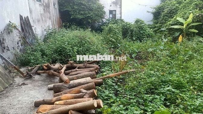 🏡 Đất thổ cư – Mạch Lũng, Thiên Lộc – 90m² – Chốt nhanh 5 tỷ
•