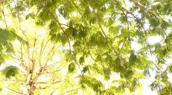 Kết bạn nam từ 52 đến 60t ở Hà Nội