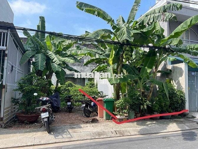 🌺🌺Cần bán nền đất đường nhựa 7m - KDC Nam Hùng Vương- phường An lạc  💰