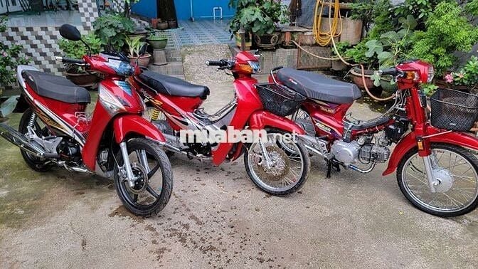 Wave alpha lóc đen