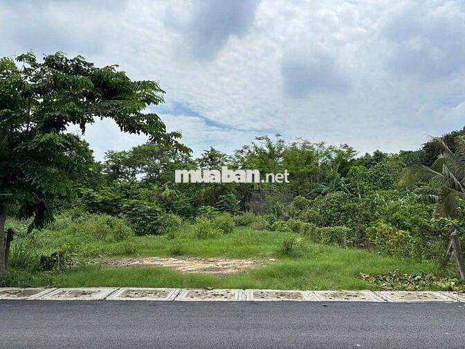 224m2 (10x24m) bán lỗ giá 720TR ngay TT Củ Chi, MT đường Nguyên Văn Ni