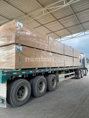 Cần tuyển tài xế xe Container tại Dĩ An