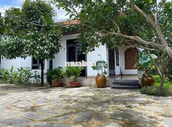 Cần bán nhanh căn nhà vườn có sẵn 25 cây sầu riêng